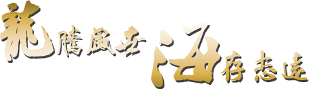 煙檯(tai)龍海(hai)起重(zhong)